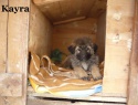 5)  25.03.15 Kayra.JPG