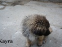 1)  25.03.15 Kayra.JPG