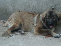 23)  08.08.15 Kayra.jpg